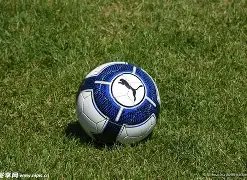 育智能科技,股份有限官,乐竞,易倍体育平台,易倍体育官方网站,易倍体育登录入口,易倍体育app下载