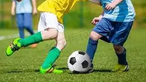 2025年8月28日体育新闻全集